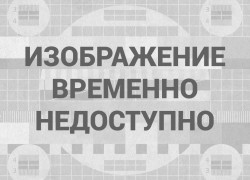 Топливный рынок Украины: тенденции сохраняются