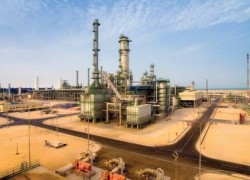 МЭА: рост добычи сланцевой нефти и газа США до 2025 г станет рекордным в истории отрасли