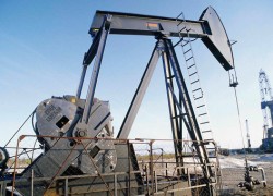 Россия и Саудовская Аравия предлагают продлить ограничения на добычу нефти
