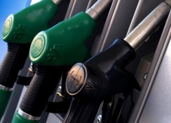 Розничные цены бензинов и ДТ евро выросли, сжиженный газ — подешевел