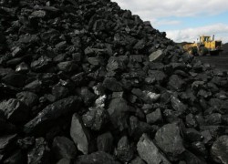 Запасы угля на ТЭС Украины за неделю увеличились на 8,1%