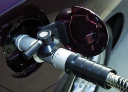 Светлые нефтепродукты на заправках дорожают, сжиженный газ – теряет в цене