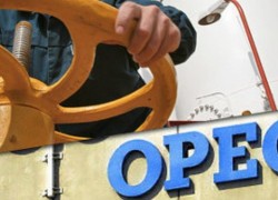 Страны вне картеля готовы ограничить добычу — генсек ОПЕК