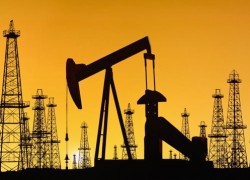 Лукашенко: сокращение поставок нефти из РФ должно быть замещено альтернативными вариантами