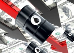 Нефтяные фьючерсы снижаются на данных об увеличении запасов нефти в США