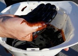 За год средняя цена российской нефти Urals выросла почти вдвое