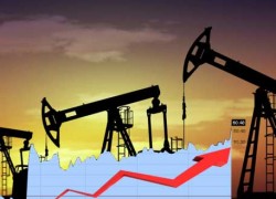 «Черное золото» дорожает на данных о снижении запасов нефтепродуктов в США