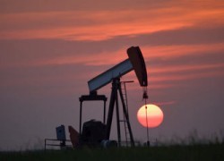 В 2015 году средняя цена нефти Urals снизилась почти в 2 раза