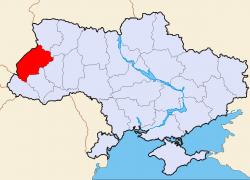 Львовская область вышла на второе место во всеукраинском рейтинге дорогого ДТ
