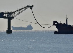 Торги открылись снижением цен на нефть