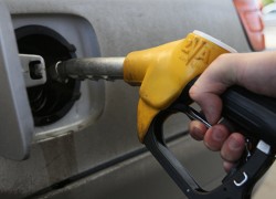 В течение недели наблюдался незначительный рост цен на светлые нефтепродукты и автогаз