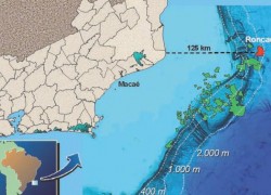 Statoil утроит добычу нефти в Бразилии за счет сделки с Petrobras на $2,9 млрд