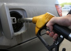 Новогодний рост средних цен на  светлые нефтепродукты поддерживает SHELL