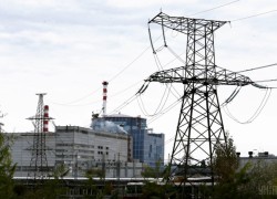 Члены ОРЭ запланировали годовое собрание на 1 февраля