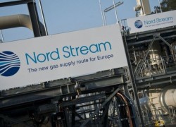 WWF призвал Меркель остановить строительство российского «Северного потока-2»