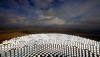 В 2020 году альтернативная энергия станет дешевле традиционной – IRENA