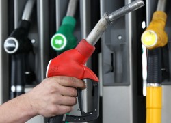 В мелком опте цены снижаются, на АЗС продолжают рост