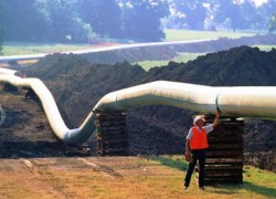 Частных газотрейдеров в Украине за год стало вдвое больше