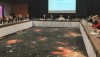 Украина продолжает внедрять датский опыт по реформированию рынка электрической энергии