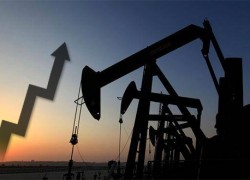 Цены нефти Brent поднялись выше $66