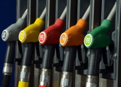 Розничные цены на автотопливо снижаются, мелкооптовые — растут