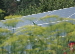 Україна на 25% збільшила виробництво електроенергії з «чистих» джерел