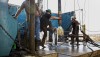 Число буровых установок в США за неделю выросло на семь штук