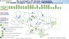 Київ займає лідируючу позицію щодо впровадження ЕСКО-проектів у бюджетній сфері