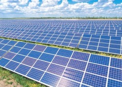 В Запорожской области планируют построить две новые солнечные станции
