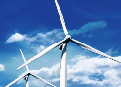 Направление ВИЭ в ДТЭК возглавит выходец из Ferrostaal и MVV Energy