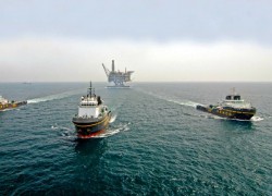 Цены на нефть меняются разнонаправленно