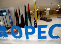 ОПЕК подготовит механизмы для предотвращения возможных шоков на нефтяном рынке