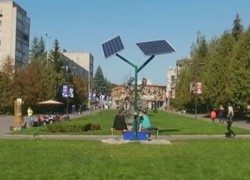 «Солнечные деревья» для подзарядки телефонов в Краматорске