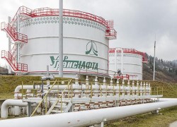 «Укртранснафта» выплатила «Нафтогазу» дивиденды на сумму 1,6 млрд гривен