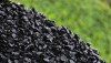 Уровень запасов угля газовой и антрацитовой групп на украинских ТЭС и ТЭЦ увеличился незначительно