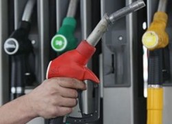 Мелкооптовые партии автомобильного топлива дорожают