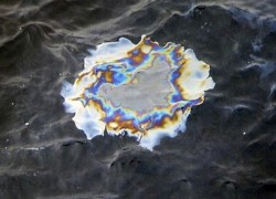 Нефтяное пятно в Таиланде уже приблизилось к курортной зоне