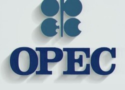 ОПЕК установила новый экспортный рекорд