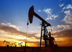 Нефть Brent установилась на уровне $81,31 за баррель