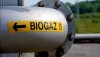 В Кировоградской области построят мощный биогазовый комплекс
