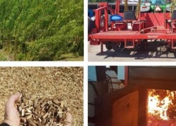 Використання енергокультур для заміщення газу – спільна мета роботи Держенергоефективності з НТЦ «Біоенергія» та Міжнародною фундацією «Енергетична ферма»