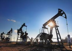 Оман поддержит сокращение нефтедобычи ОПЕК+ на 1 млн б/с, рынок перенасыщен