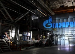 Группа «Газпром» увеличила экспорт трубного газа на 10,9%
