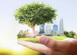 Головне завдання на 2019р — прийняття Закону «Про енергетичну ефективність» — Зубко
