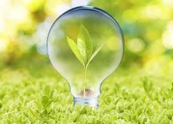 Технічно перші «зелені» аукціони можуть бути реалізовані в 2020 році – глава «Укренерго»