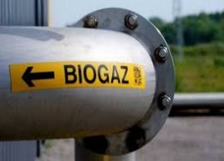 Агропродсервис планирует построить биогазовый комплекс