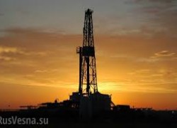 Три нафтогазові ділянки було продано на онлайн-аукціонах