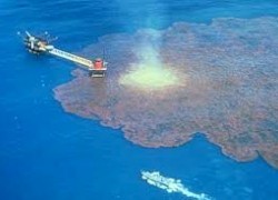 Китайцы изобрели революционный метод удаления нефтяных пятен