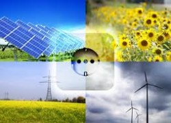 «Зелені» аукціони можуть відбутися не раніше 2020 року, — Хірман