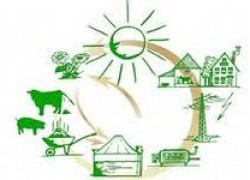 На Франківщині планують побудувати біогазовий завод на відходах сільського господарства та тваринництва